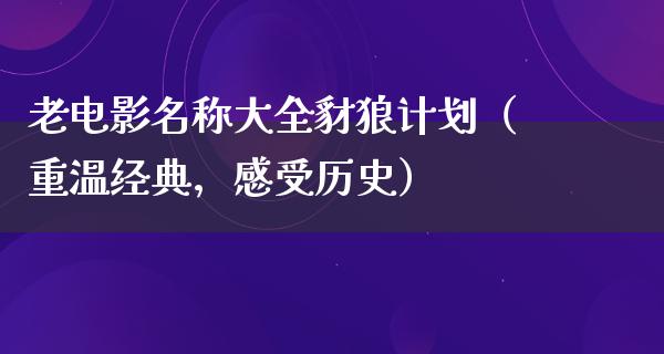 老电影名称大全豺狼计划（重温经典，感受历史）