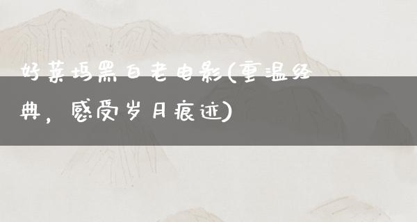 好莱坞黑白老电影(重温经典，感受岁月痕迹)