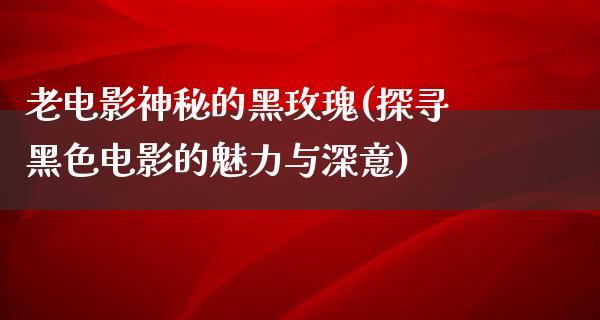 老电影神秘的黑玫瑰(探寻黑色电影的魅力与深意)