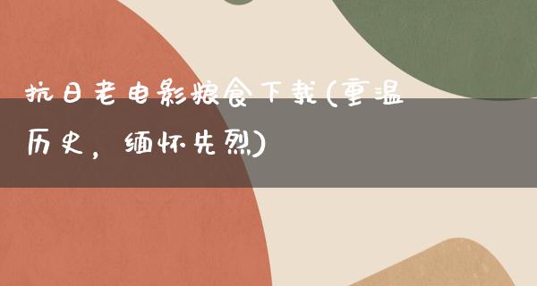 抗日老电影粮食下载(重温历史，缅怀先烈)