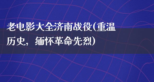 老电影大全济南战役(重温历史，缅怀革命先烈)