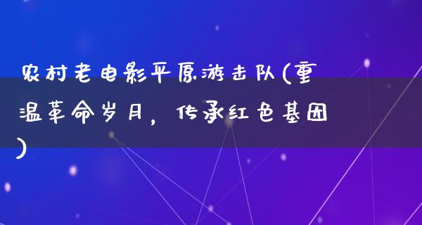 农村老电影平原游击队(重温革命岁月，传承红色基因)