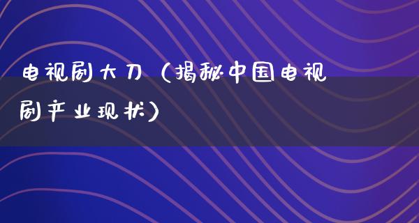 电视剧大刀（揭秘中国电视剧产业现状）