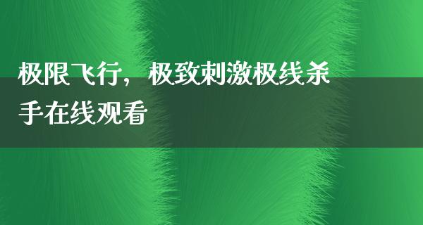 极限飞行，极致**极线**在线观看