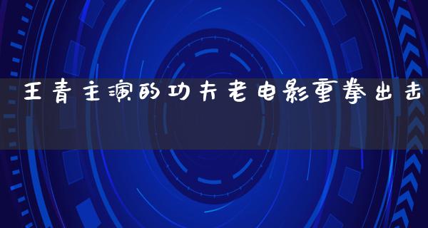 王青主演的功夫老电影重拳出击