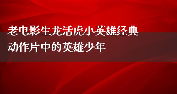 老电影生龙活虎小英雄经典动作片中的英雄少年