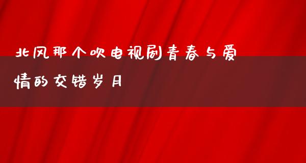 北风那个吹电视剧青春与爱情的交错岁月