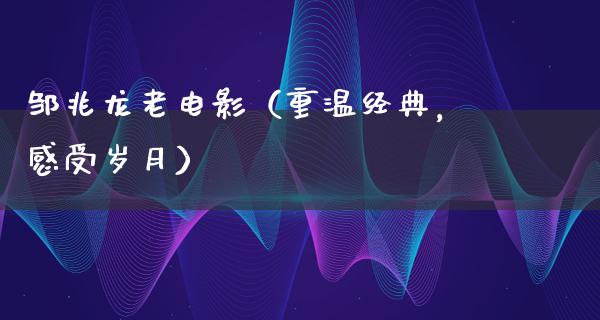 邹兆龙老电影（重温经典，感受岁月）