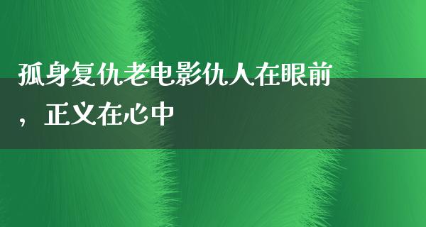 孤身复仇老电影仇人在眼前，正义在心中