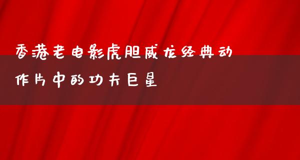 香港老电影虎胆威龙经典动作片中的功夫巨星