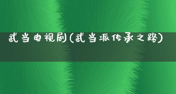 武当电视剧(武当派传承之路)