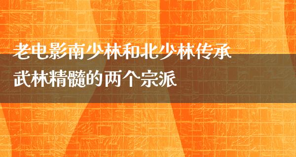 老电影南少林和北少林传承武林精髓的两个宗派