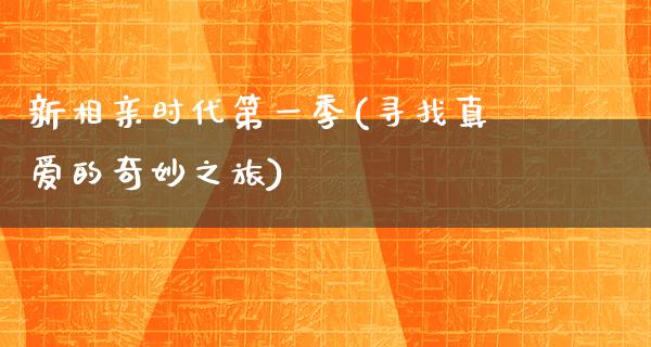 新相亲时代第一季(寻找真爱的奇妙之旅)