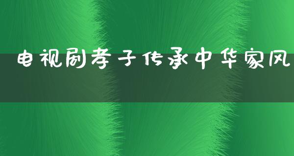 电视剧孝子传承中华家风