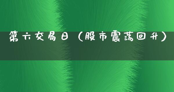 第六交易日（股市震荡回升）