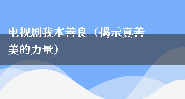 电视剧我本善良（揭示***的力量）