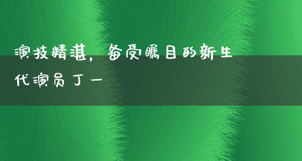 演技精湛，备受瞩目的新生代演员丁一