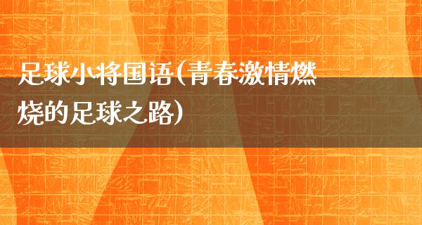 足球小将国语(青春**燃烧的足球之路)