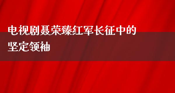 电视剧***红军长征中的坚定领袖