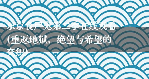 东京食尸鬼第二季在线观看(重返地狱，绝望与希望的交织)