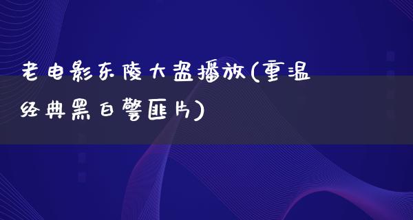 老电影东陵大盗播放(重温经典黑白警匪片)