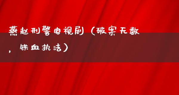 燕赵**电视剧（破案无数，铁血执法）