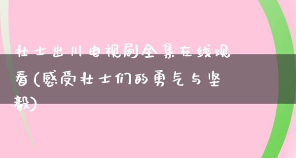 壮士出川电视剧****观看(感受壮士们的勇气与坚毅)