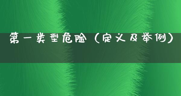 第一类型危险（定义及举例）