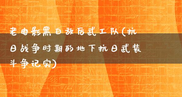 老电影黑白敌后武工队(抗日战争时期的地下抗日武装斗争记实)