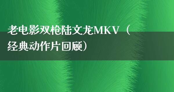 老电影双枪陆文龙MKV（经典动作片回顾）