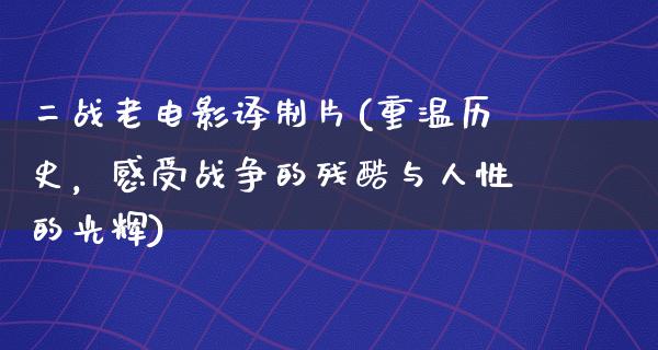 二战老电影译制片(重温历史，感受战争的残酷与人性的光辉)