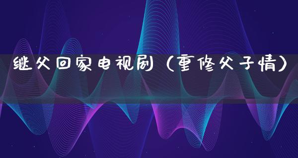 继父回家电视剧（重修父子情）