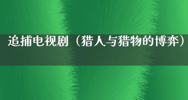 追捕电视剧（猎人与猎物的博弈）