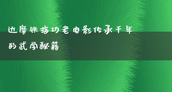 达摩铁指功老电影传承千年的武学秘籍