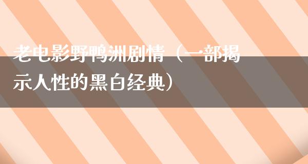 老电影野鸭洲剧情（一部揭示人性的黑白经典）