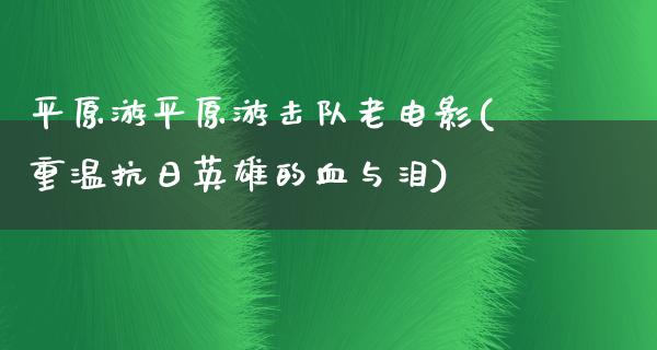 平原游平原游击队老电影(重温抗日英雄的血与泪)