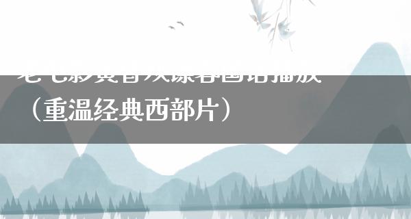 老电影黄昏双镖客国语播放（重温经典西部片）