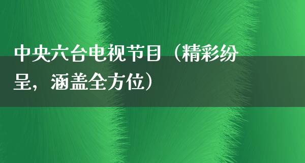 **六台电视节目（精彩纷呈，涵盖全方位）