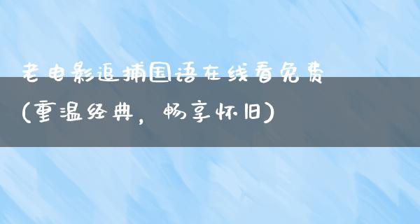 老电影追捕国语在线看免费(重温经典，畅享怀旧)