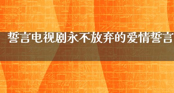 誓言电视剧永不放弃的爱情誓言