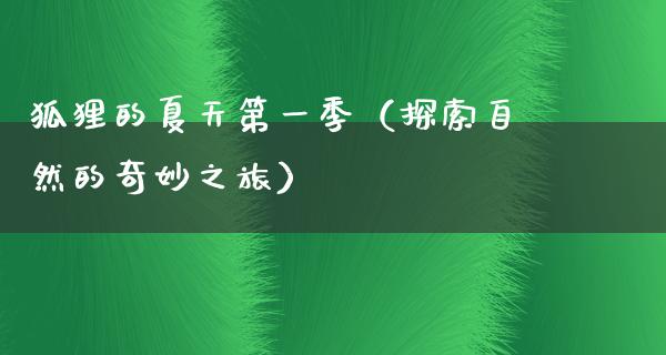 狐狸的夏天第一季（探索自然的奇妙之旅）