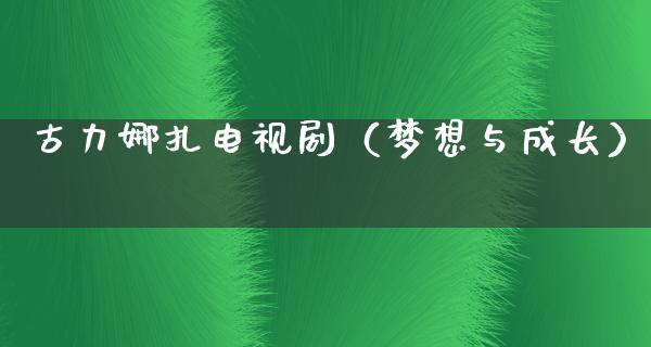 古力娜扎电视剧（梦想与成长）