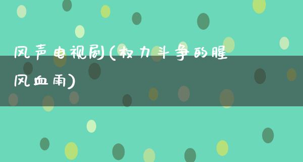 风声电视剧(权力斗争的腥风血雨)