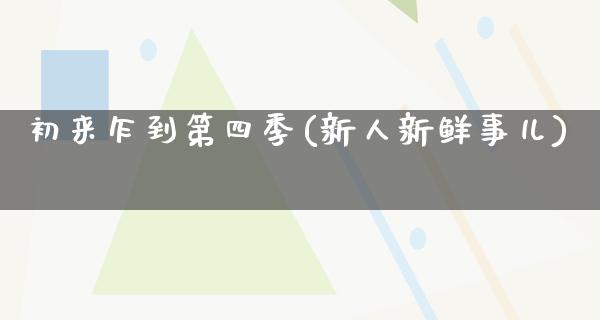 初来乍到第四季(新人新鲜事儿)